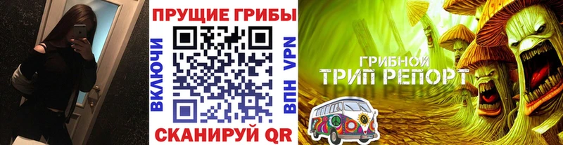 мориарти Telegram  Нальчик  Галлюциногенные грибы ЛСД  KRAKEN ссылки 