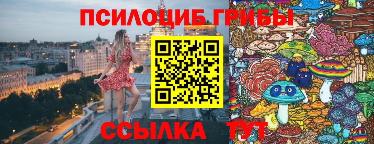 Галлюциногенные грибы прущие грибы Нальчик