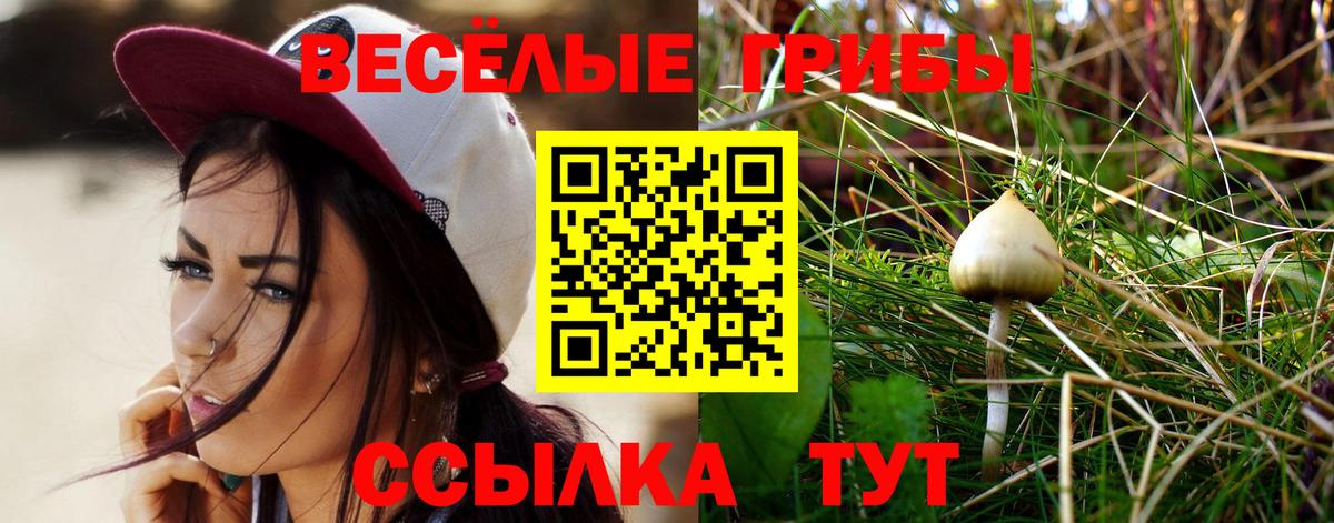 Псилоцибиновые грибы мухоморы  Вход с VPN  Нальчик 